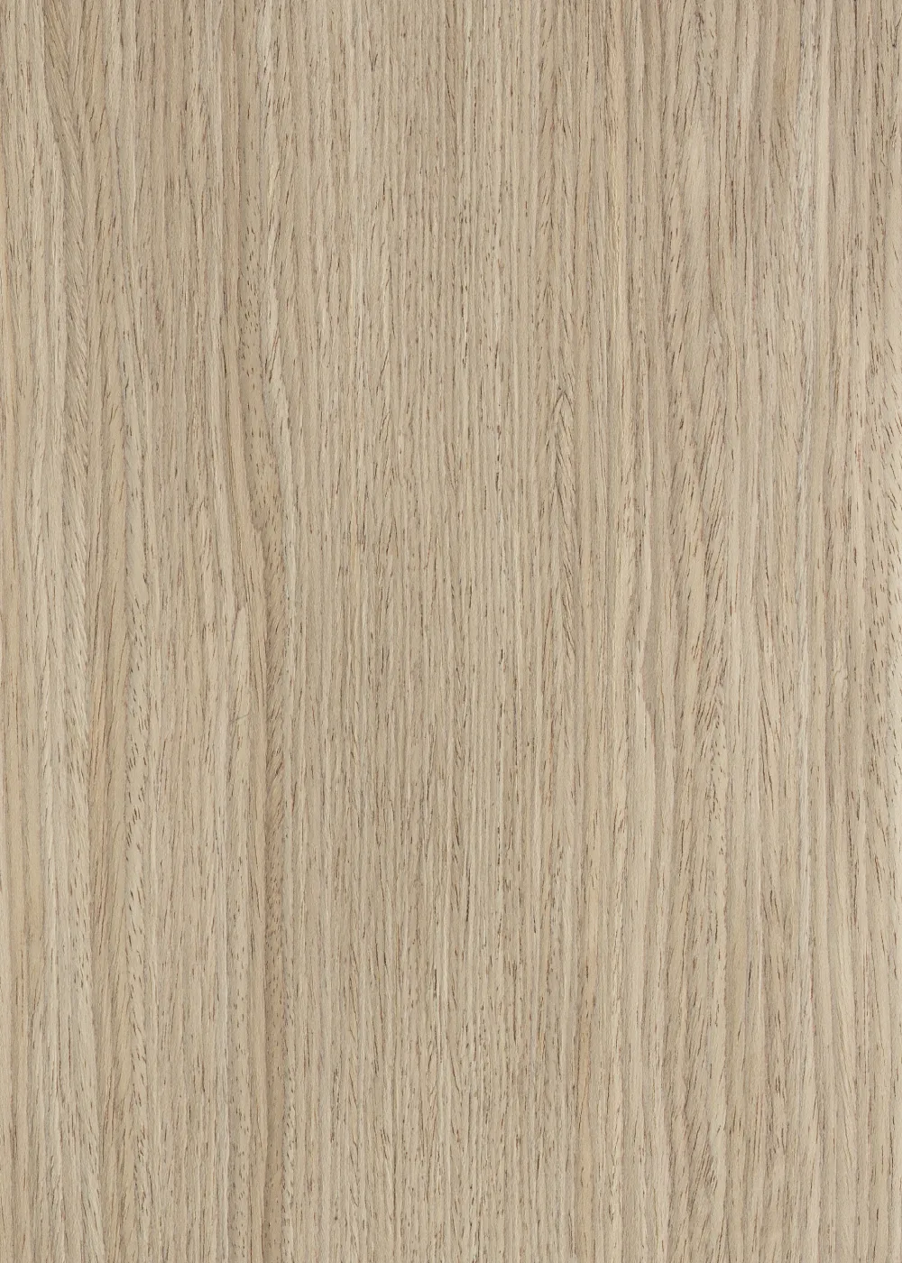 Ąžuolas 002 S (2500 x 640 mm)