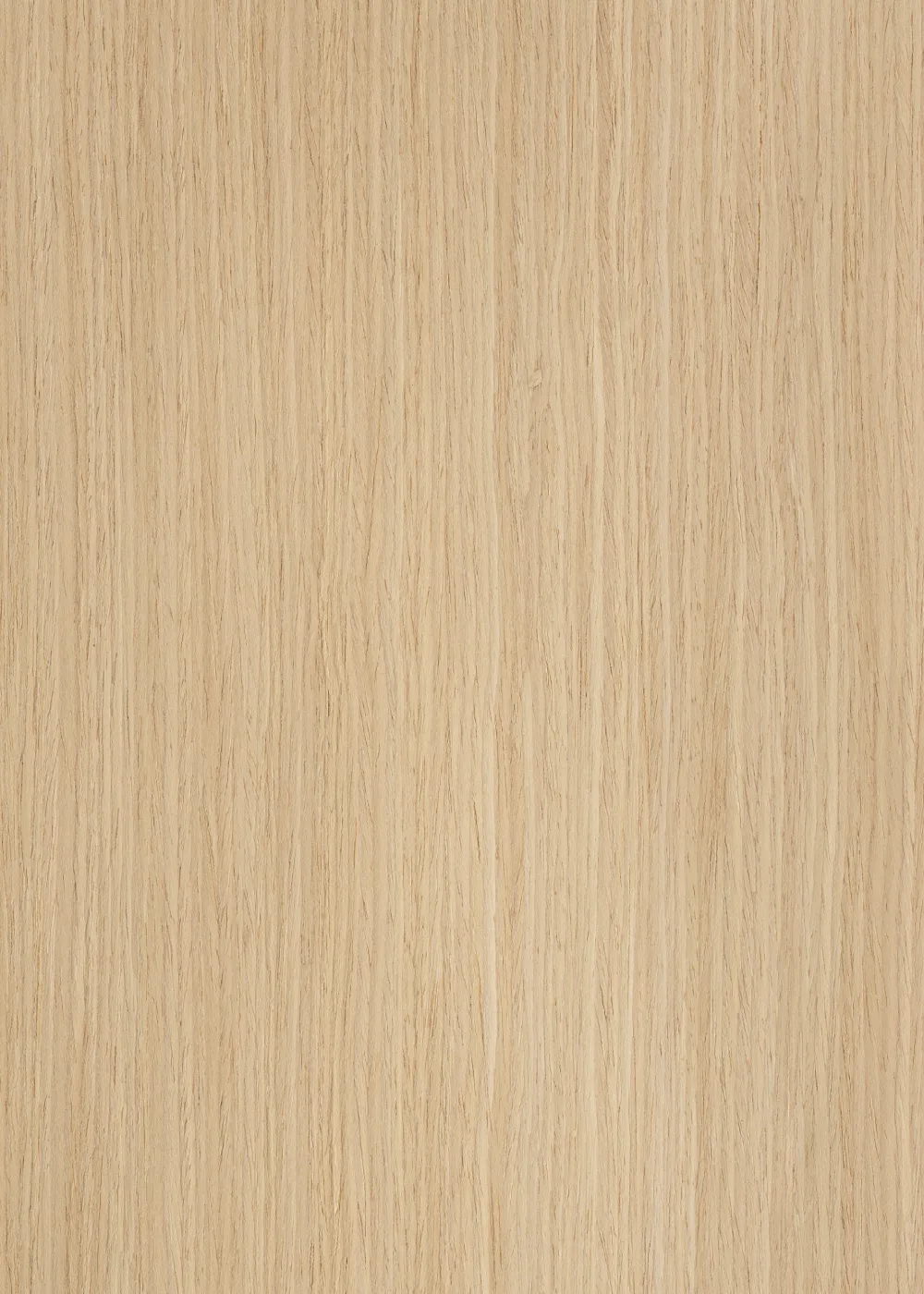 Ąžuolas 605 S-6 (3100x640 mm)